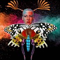 Butterfly01