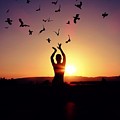 FREEDOM